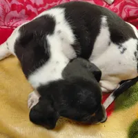 processed/4948f9fa-d41c-41c1-9ca6-a6796032cbac/facility/08a7de02-5079-47ac-aa26-73344a8d8c84