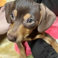 processed/4948f9fa-d41c-41c1-9ca6-a6796032cbac/facility/0babe87c-1584-4bf5-9ae2-d821e53780c8