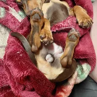 processed/4948f9fa-d41c-41c1-9ca6-a6796032cbac/facility/8a79056c-415b-471f-b51d-00c56735d910