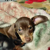 processed/4948f9fa-d41c-41c1-9ca6-a6796032cbac/facility/8b713c06-4565-4f1e-a5cc-ea2190c6d4e0