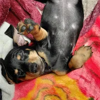 processed/4948f9fa-d41c-41c1-9ca6-a6796032cbac/facility/a1208467-d213-49b0-93f8-b86b490a273d