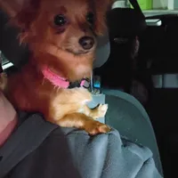 processed/4948f9fa-d41c-41c1-9ca6-a6796032cbac/facility/a83342d1-24d4-4809-a331-e8e46da9aa76