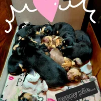 processed/4948f9fa-d41c-41c1-9ca6-a6796032cbac/facility/afa3a4cf-5ef3-4d11-b62f-ca67780396fe