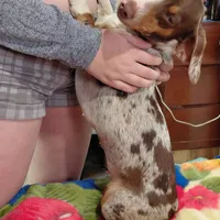 processed/4948f9fa-d41c-41c1-9ca6-a6796032cbac/facility/b548e7e0-8ed4-4c0f-94b2-0bb9168055b3