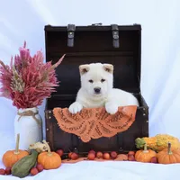 processed/494a390e-7e03-4d72-aa7f-ae6c2cace39e/facility/6ddce62b-40d5-45df-a330-73336a40eea3