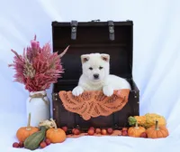 processed/494a390e-7e03-4d72-aa7f-ae6c2cace39e/facility/6ddce62b-40d5-45df-a330-73336a40eea3