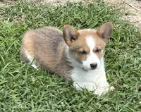 processed/494fd9c5-386f-453d-b76c-37d91a043e49/facility/14467d07-7289-4ca8-83af-07e2e33f6ba1