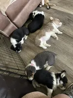 processed/494fd9c5-386f-453d-b76c-37d91a043e49/facility/28d0566c-f73a-43ba-9fab-e9f4ef06c3f9