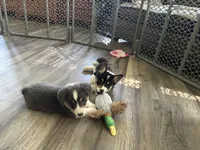 processed/494fd9c5-386f-453d-b76c-37d91a043e49/facility/83a4766c-d92b-4362-8ac7-9b867f9fa65c