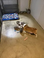 processed/494fd9c5-386f-453d-b76c-37d91a043e49/facility/c528ce78-f443-4eed-8f71-71ab6d943557