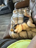 processed/494fd9c5-386f-453d-b76c-37d91a043e49/facility/cc0b3135-9075-4364-bbf2-120cd291407f