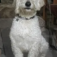 processed/4956cd2f-1ef6-4c73-b79f-6f238f794c66/facility/27376545-38a5-4ccc-b2bc-75b8bcb297c7