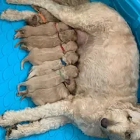 processed/4956cd2f-1ef6-4c73-b79f-6f238f794c66/facility/76b4361e-32f4-434b-af5c-eb6744037b8c