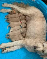 processed/4956cd2f-1ef6-4c73-b79f-6f238f794c66/facility/76b4361e-32f4-434b-af5c-eb6744037b8c