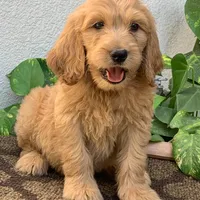 processed/4956cd2f-1ef6-4c73-b79f-6f238f794c66/facility/80438ed5-07db-440f-a8c8-7c9b9ce5e963