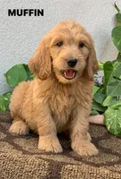 processed/4956cd2f-1ef6-4c73-b79f-6f238f794c66/facility/80438ed5-07db-440f-a8c8-7c9b9ce5e963