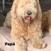 processed/4956cd2f-1ef6-4c73-b79f-6f238f794c66/facility/86e22587-c548-4463-ad18-a8bf6b244b54