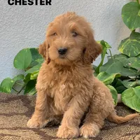 processed/4956cd2f-1ef6-4c73-b79f-6f238f794c66/facility/984e6884-b53a-4d76-bd83-b1a793828ba4