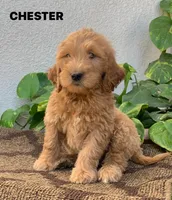 processed/4956cd2f-1ef6-4c73-b79f-6f238f794c66/facility/984e6884-b53a-4d76-bd83-b1a793828ba4