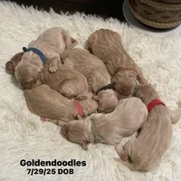 processed/4956cd2f-1ef6-4c73-b79f-6f238f794c66/facility/c3bbae9a-cddf-44f1-9097-89c1050846c8