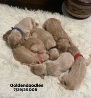 processed/4956cd2f-1ef6-4c73-b79f-6f238f794c66/facility/c3bbae9a-cddf-44f1-9097-89c1050846c8