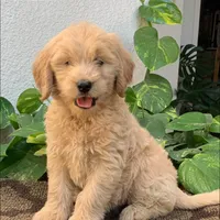 processed/4956cd2f-1ef6-4c73-b79f-6f238f794c66/facility/d164de89-cd70-4d36-b4a9-3075d2673aa7