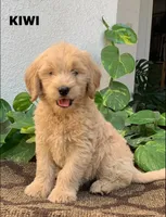 processed/4956cd2f-1ef6-4c73-b79f-6f238f794c66/facility/d164de89-cd70-4d36-b4a9-3075d2673aa7