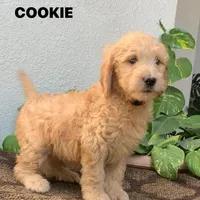 processed/4956cd2f-1ef6-4c73-b79f-6f238f794c66/facility/e13bff66-0b61-4158-9411-691e817d5fac