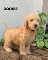 processed/4956cd2f-1ef6-4c73-b79f-6f238f794c66/facility/e13bff66-0b61-4158-9411-691e817d5fac