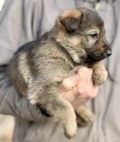 processed/4960b2e2-050f-4ce5-8083-e50605b09552/listing/c163148f-ed0d-4f6f-a10d-4d7aa2cb6f91/073c6c1a-418e-4238-a5cd-5c7b60d7e287