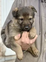 processed/4960b2e2-050f-4ce5-8083-e50605b09552/listing/c163148f-ed0d-4f6f-a10d-4d7aa2cb6f91/18d84987-5289-4f78-88f2-3e218311d9cf