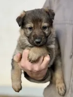 processed/4960b2e2-050f-4ce5-8083-e50605b09552/listing/c163148f-ed0d-4f6f-a10d-4d7aa2cb6f91/1ff5c046-5f67-42d2-9d20-2bb44f8c81c2