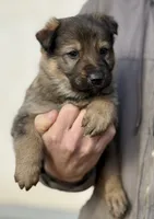 processed/4960b2e2-050f-4ce5-8083-e50605b09552/listing/c163148f-ed0d-4f6f-a10d-4d7aa2cb6f91/514ca042-fd95-4e2b-89e3-47c704861215