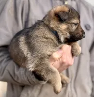 processed/4960b2e2-050f-4ce5-8083-e50605b09552/listing/c163148f-ed0d-4f6f-a10d-4d7aa2cb6f91/5409cb96-0407-4472-9199-8e4b6cb83947