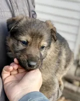 processed/4960b2e2-050f-4ce5-8083-e50605b09552/listing/c163148f-ed0d-4f6f-a10d-4d7aa2cb6f91/6c6921ff-4e92-4b58-84f4-a01d19ca1fe9