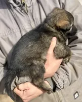 processed/4960b2e2-050f-4ce5-8083-e50605b09552/listing/ebbca46f-07f8-489a-864e-a2c0be01b3ab/5a953a66-3b69-41d0-a501-1ff6e6bfb5b1