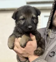 processed/4960b2e2-050f-4ce5-8083-e50605b09552/listing/ebbca46f-07f8-489a-864e-a2c0be01b3ab/9afe7c54-1fff-46aa-bcb7-39447992e666