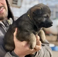 processed/4960b2e2-050f-4ce5-8083-e50605b09552/listing/ebbca46f-07f8-489a-864e-a2c0be01b3ab/e000e2ef-0870-446b-b79a-d3c0d08cd2c2