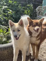 processed/49632abd-d43a-4df2-881c-180b700506ee/facility/27002576-5c95-459b-8159-0cffb654ad12