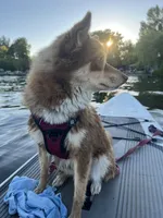 processed/49632abd-d43a-4df2-881c-180b700506ee/facility/70e031c5-a171-4fd9-a22e-b9e516d27a46