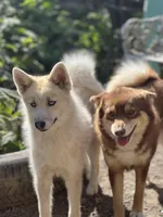 processed/49632abd-d43a-4df2-881c-180b700506ee/facility/b1e1859b-7291-4352-88fa-111143f32102