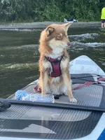 processed/49632abd-d43a-4df2-881c-180b700506ee/facility/c361290d-5c40-46c5-96fe-1926b2e0f412