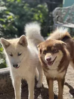 processed/49632abd-d43a-4df2-881c-180b700506ee/facility/dc5c010a-19f5-4eb2-8653-5c0726b18478