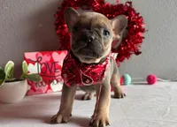 processed/49634e56-874b-4a18-8b58-d4f8f5fdc711/listing/11d488ac-d763-4681-8c5f-0ace5d58c07a/13b0e3f9-f2ed-4ea5-a2ae-c782cb283c23