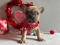 processed/49634e56-874b-4a18-8b58-d4f8f5fdc711/listing/11d488ac-d763-4681-8c5f-0ace5d58c07a/13cae034-fd66-4527-aec8-d248c5acb9b4