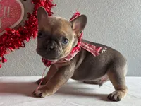 processed/49634e56-874b-4a18-8b58-d4f8f5fdc711/listing/11d488ac-d763-4681-8c5f-0ace5d58c07a/47b90c17-ba23-4066-9294-3dd6be65ee6d