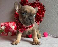 processed/49634e56-874b-4a18-8b58-d4f8f5fdc711/listing/11d488ac-d763-4681-8c5f-0ace5d58c07a/93479356-2c65-4a4d-b149-c2265ea39a1e