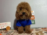 processed/49634e56-874b-4a18-8b58-d4f8f5fdc711/listing/593a7841-9119-428e-8db4-2cb9e183e8de/2a205cc3-e4ad-4240-baa6-adb01a56e89a