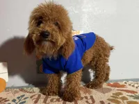 processed/49634e56-874b-4a18-8b58-d4f8f5fdc711/listing/593a7841-9119-428e-8db4-2cb9e183e8de/469ff34d-ef77-4618-82b0-feeb7aa03244