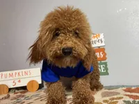 processed/49634e56-874b-4a18-8b58-d4f8f5fdc711/listing/593a7841-9119-428e-8db4-2cb9e183e8de/73692b2c-4ff7-49b2-84b8-7498b64569d2